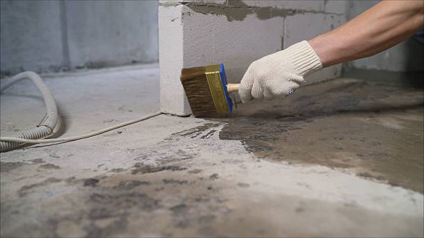 24/7 Emergency Basement Waterproofing experts in Stanwood, MI